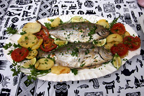 A dinner of freshly caught John Dory